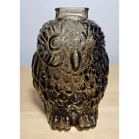 Vintage Wise Old Owl Glass Bank Smokey Gray 6 Inches - Picture 2 of 7